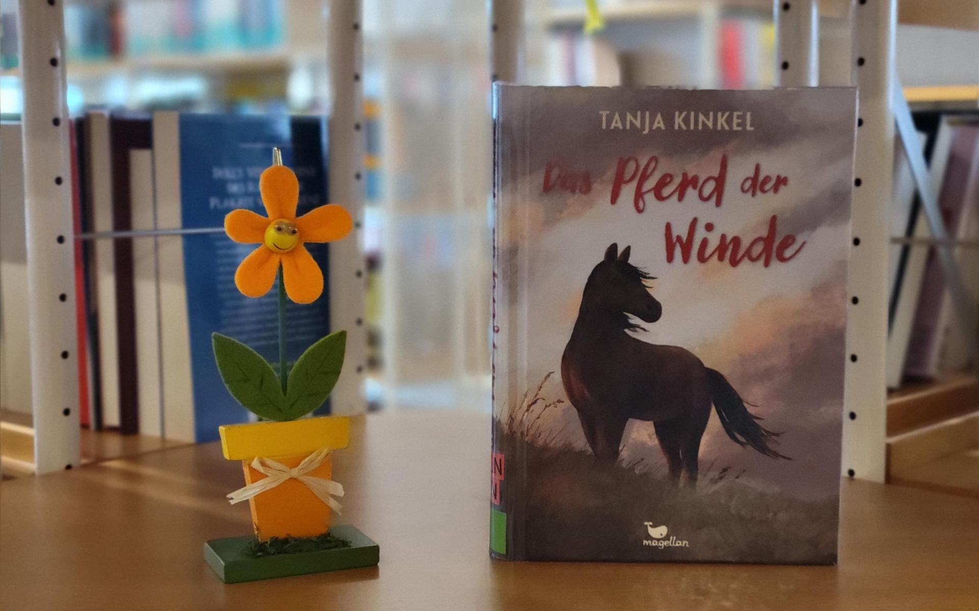 Jugendbuch Pferd